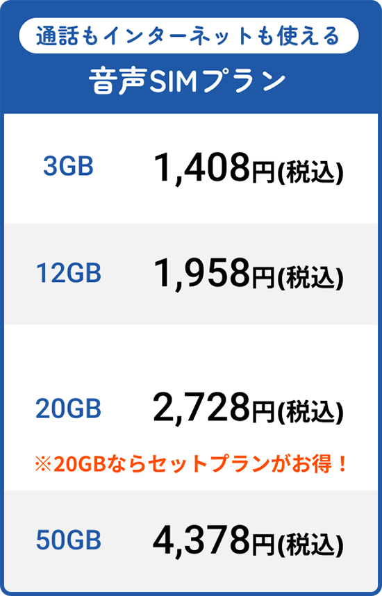 通話はオプションが必要 音声SIMプラン