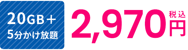 30GB5分間かけ放題